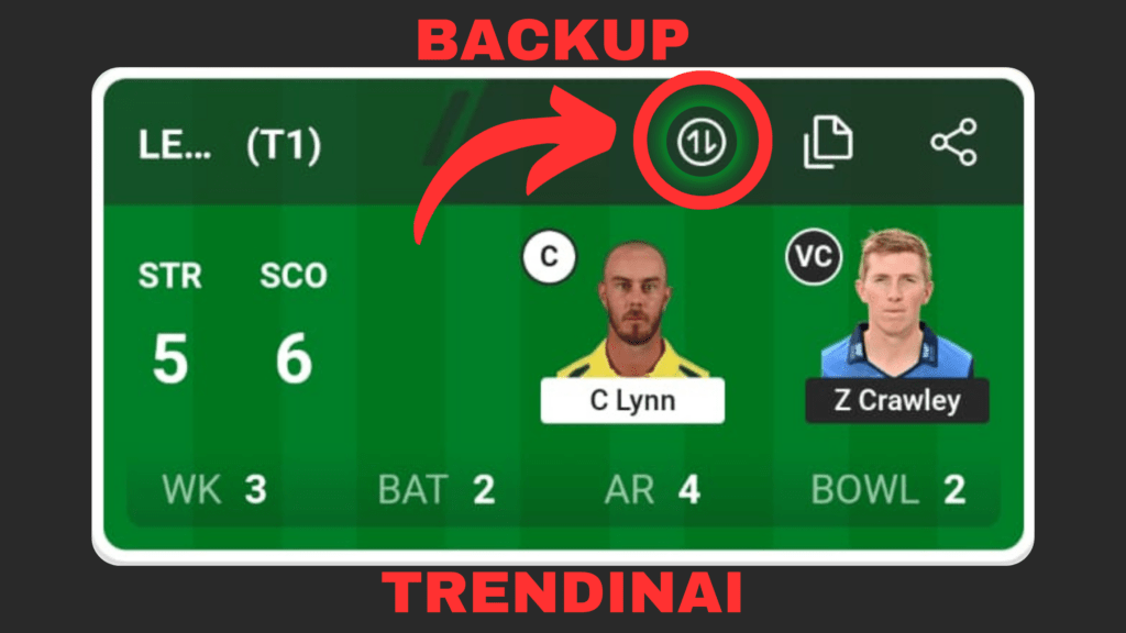 How to use backup players in dream 11
