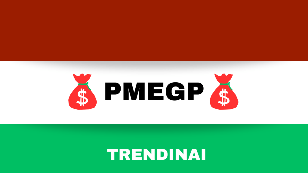 What type of business can you start under the pmegp